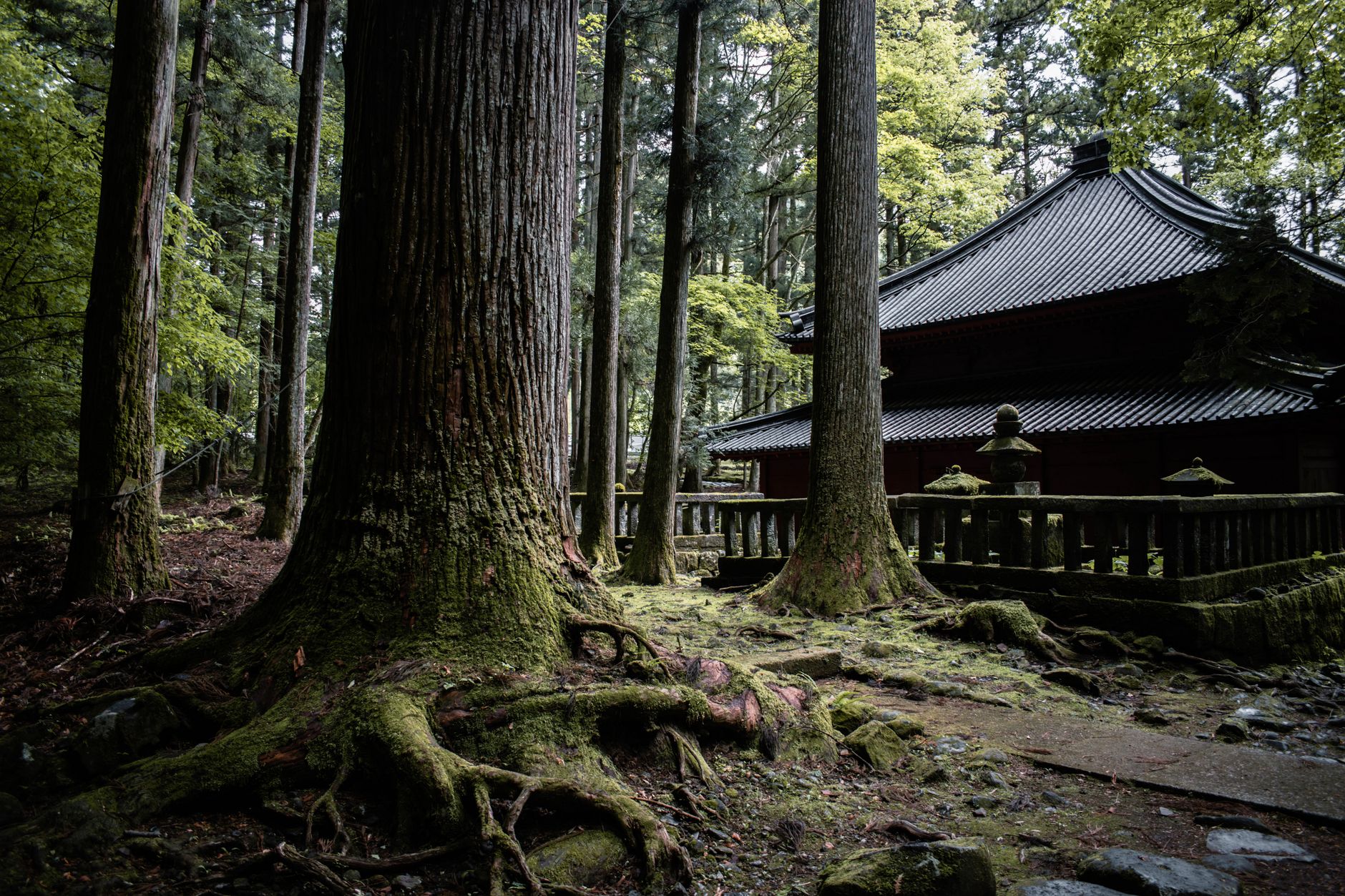 Moss garden and wooden temple corridor in Japan